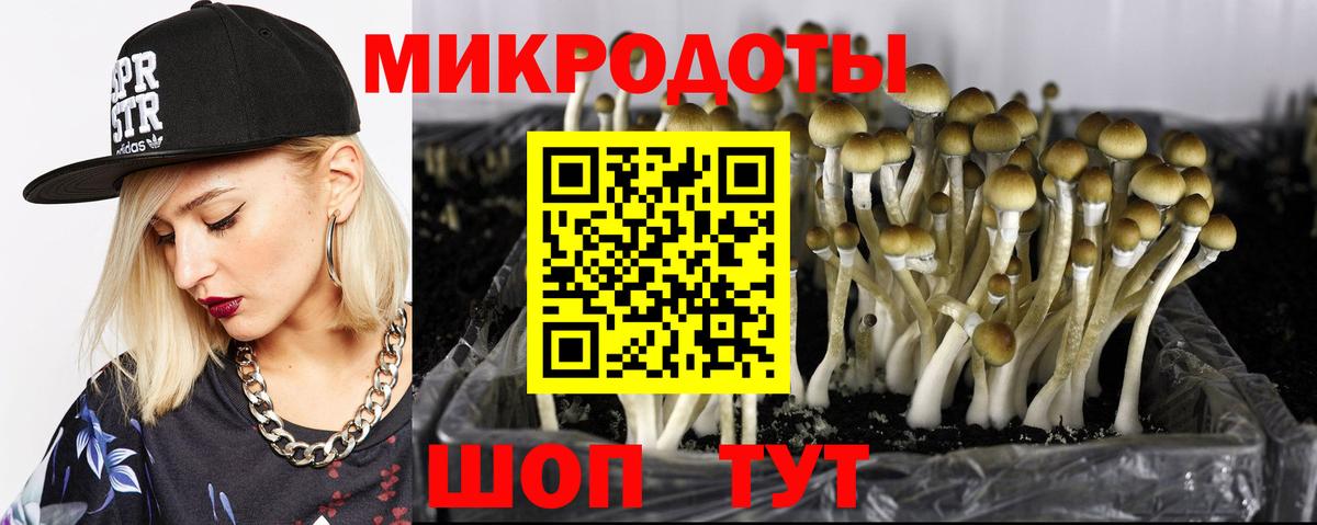 Псилоцибиновые грибы ЛСД Костомукша
